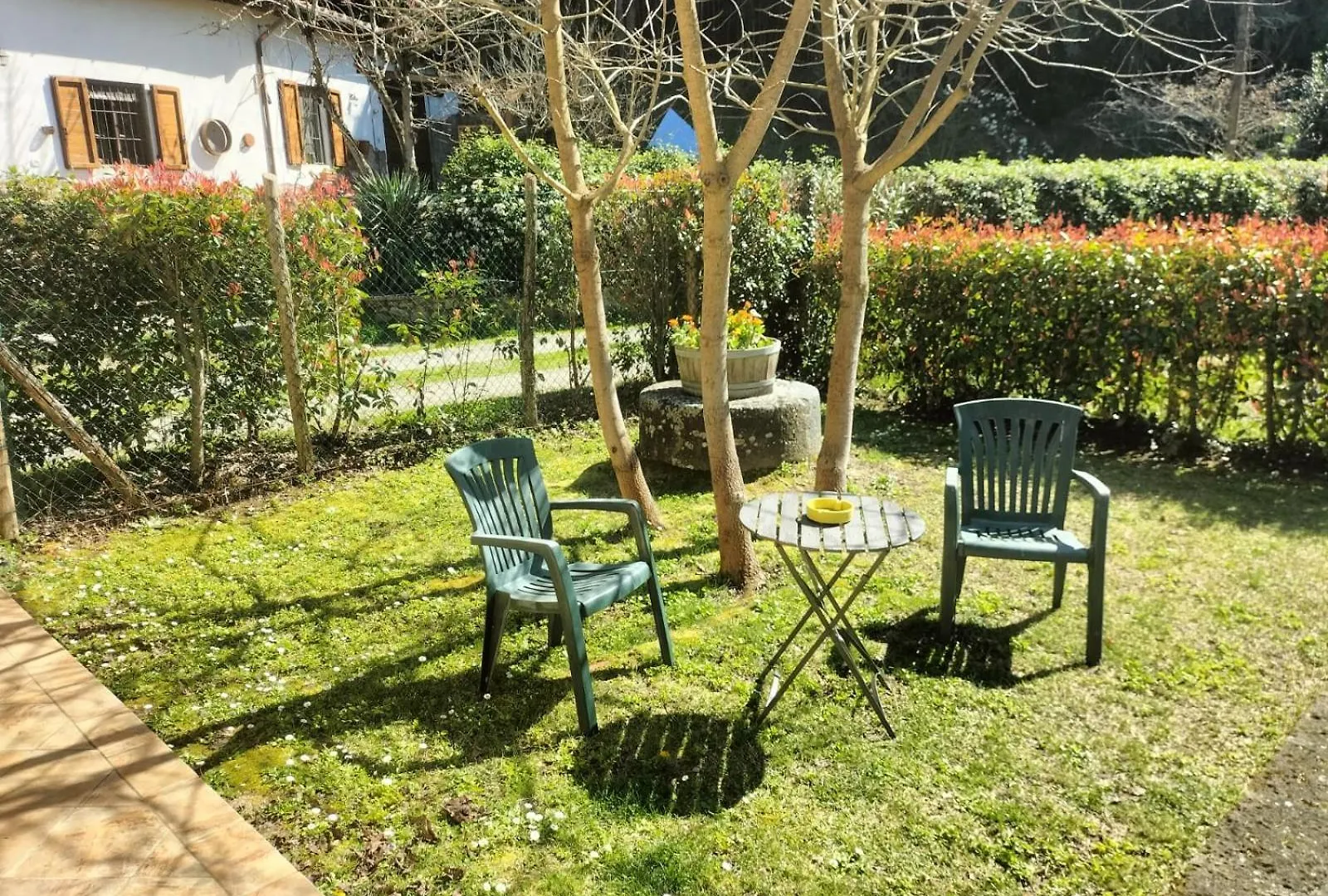 Casa Margherita Capraia e Limite Holiday home